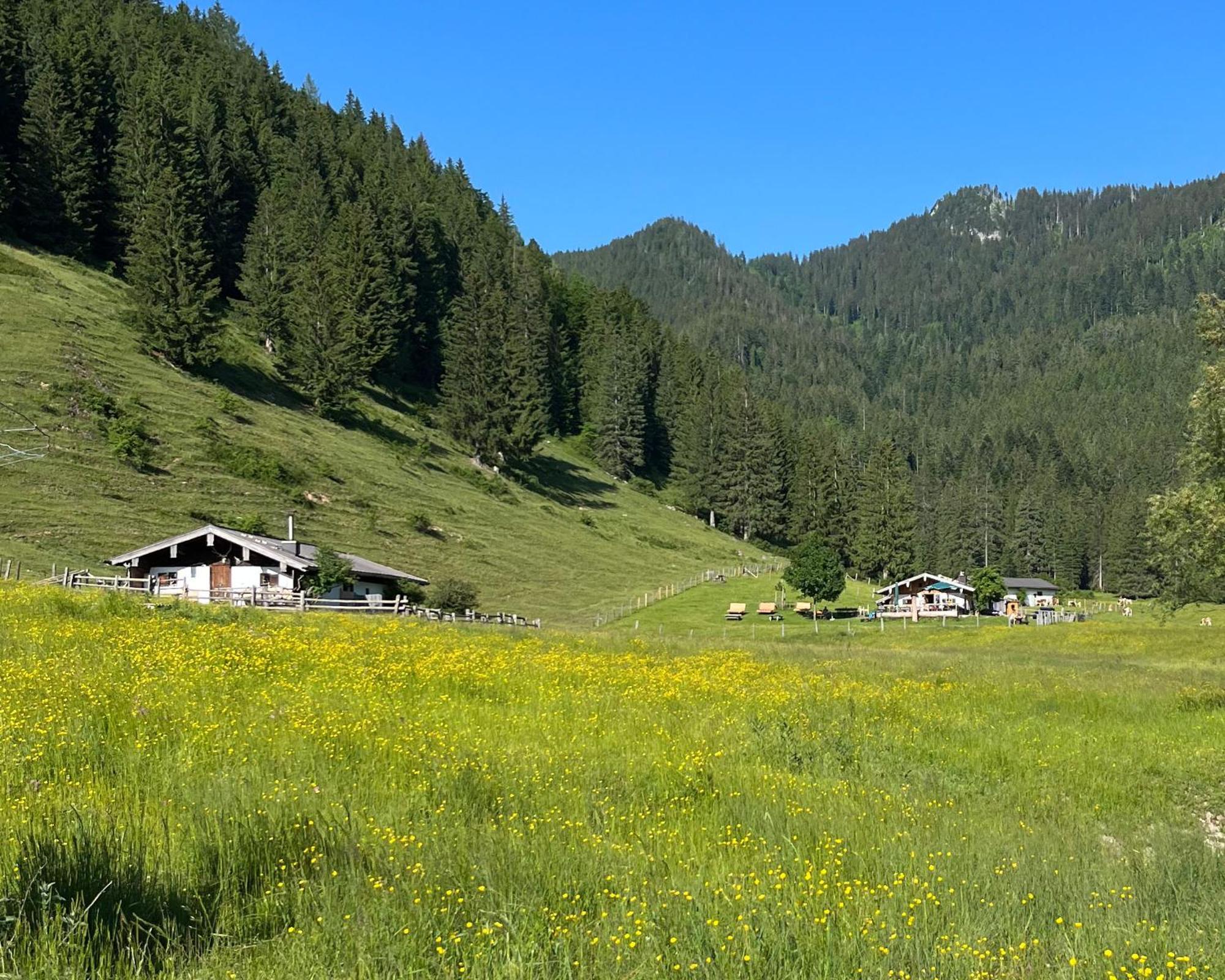 Ferienwohnung Gartenglueck Traunstein Dış mekan fotoğraf